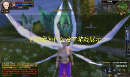 别问我为什么没有游戏展示