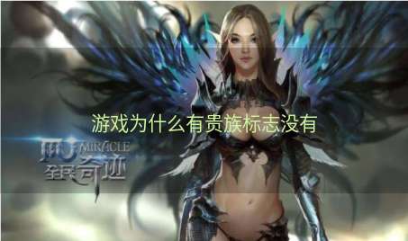 游戏为什么有贵族标志没有